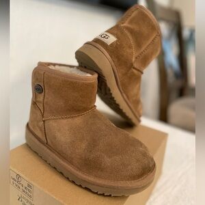 UGG Chestnut Suede Ankle Boots